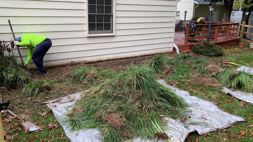 Landscape Maintenance