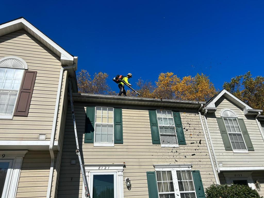 Gutter Cleaning
