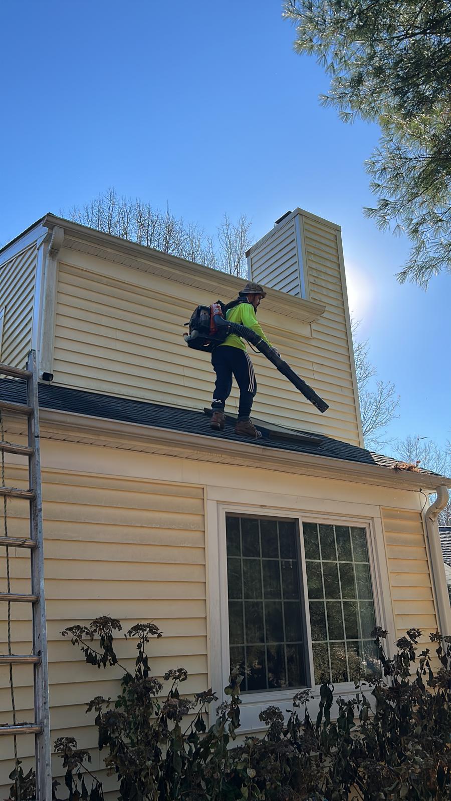 Gutter Cleaning