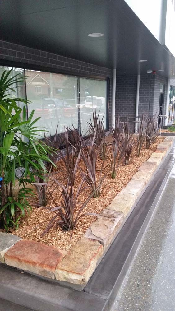 Commercial Garden with Stone Wall — Wallaroo Landscapes In Nowra, NSW