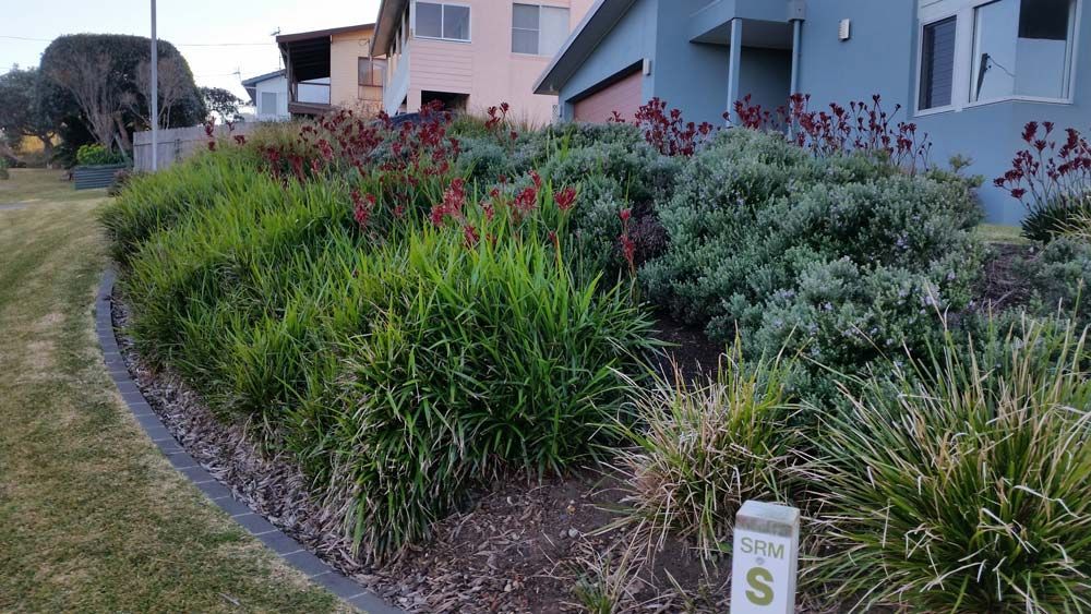 Lawn Care Service — Wallaroo Landscapes In Nowra, NSW