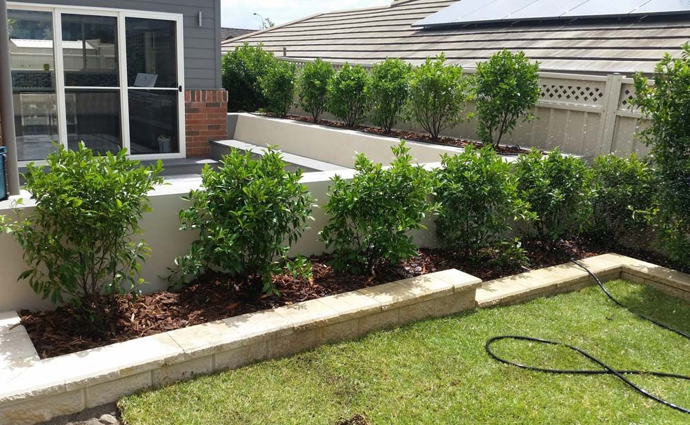 White Wall with Plants — Wallaroo Landscapes In Nowra, NSW
