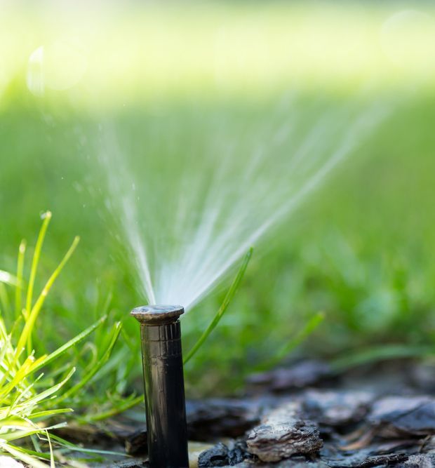 Irrigation System In Function — Wallaroo Landscapes In Nowra NSW