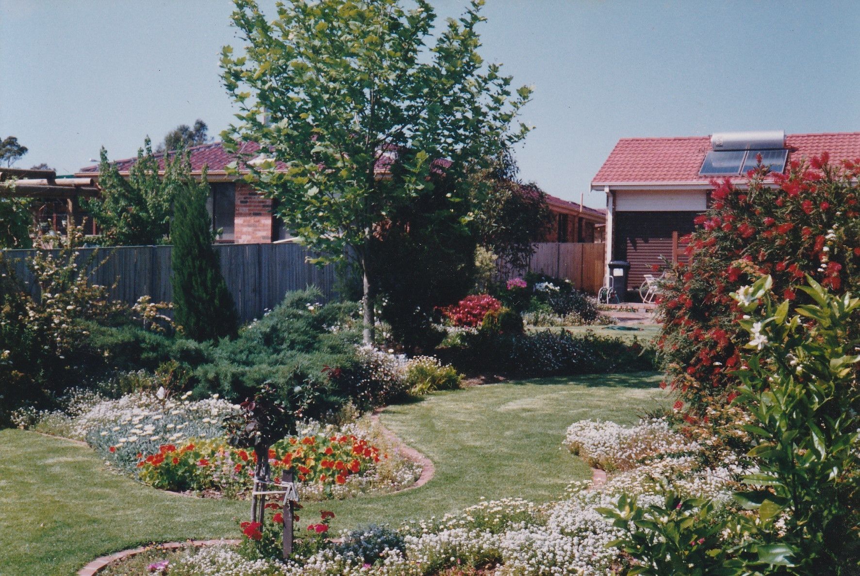 Colourful Flowering Plant On Smooth Green Grass Lawn With Orange Brick Wall — Wallaroo Landscapes In Nowra NSW