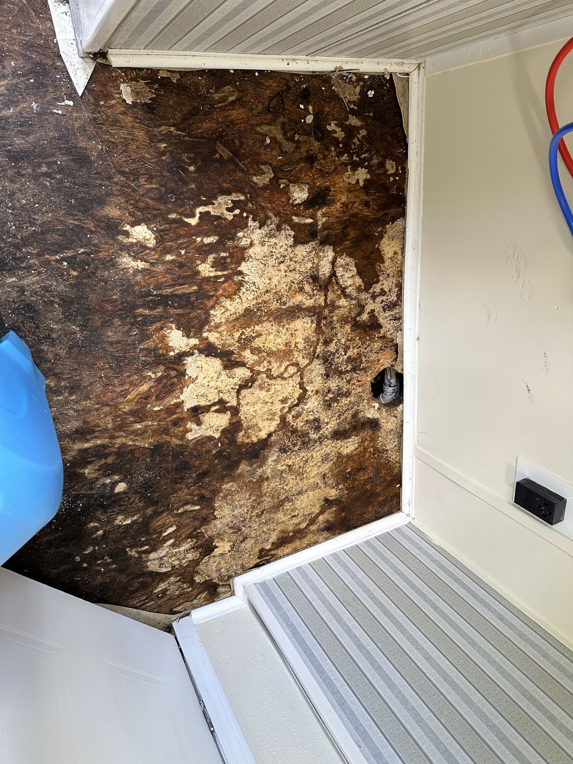a wall filled with mold