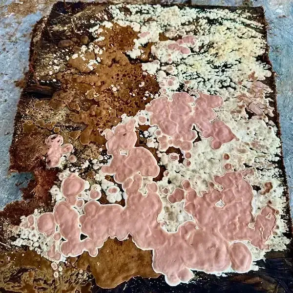 mold on a floor rug