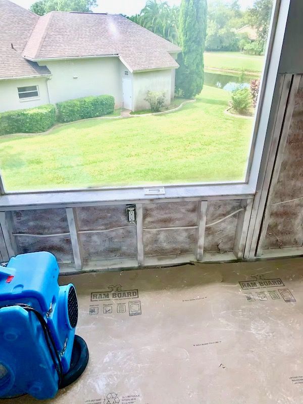 window sill after mold remediation