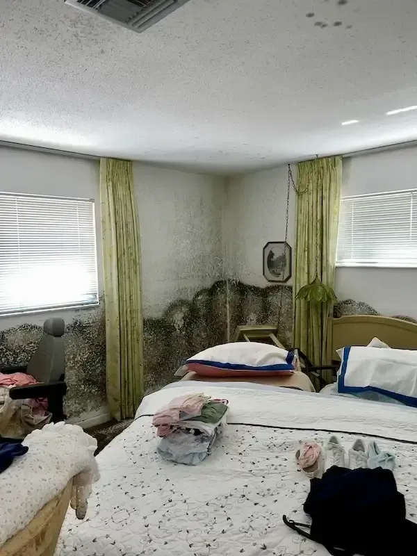 Water damage from hurricane