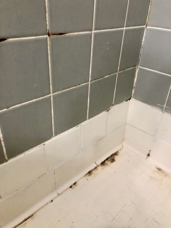 a bathroom with dirty tiles and mold on the floor .
