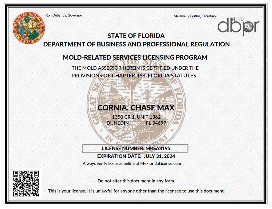 a state of florida department of business and professional regulation license