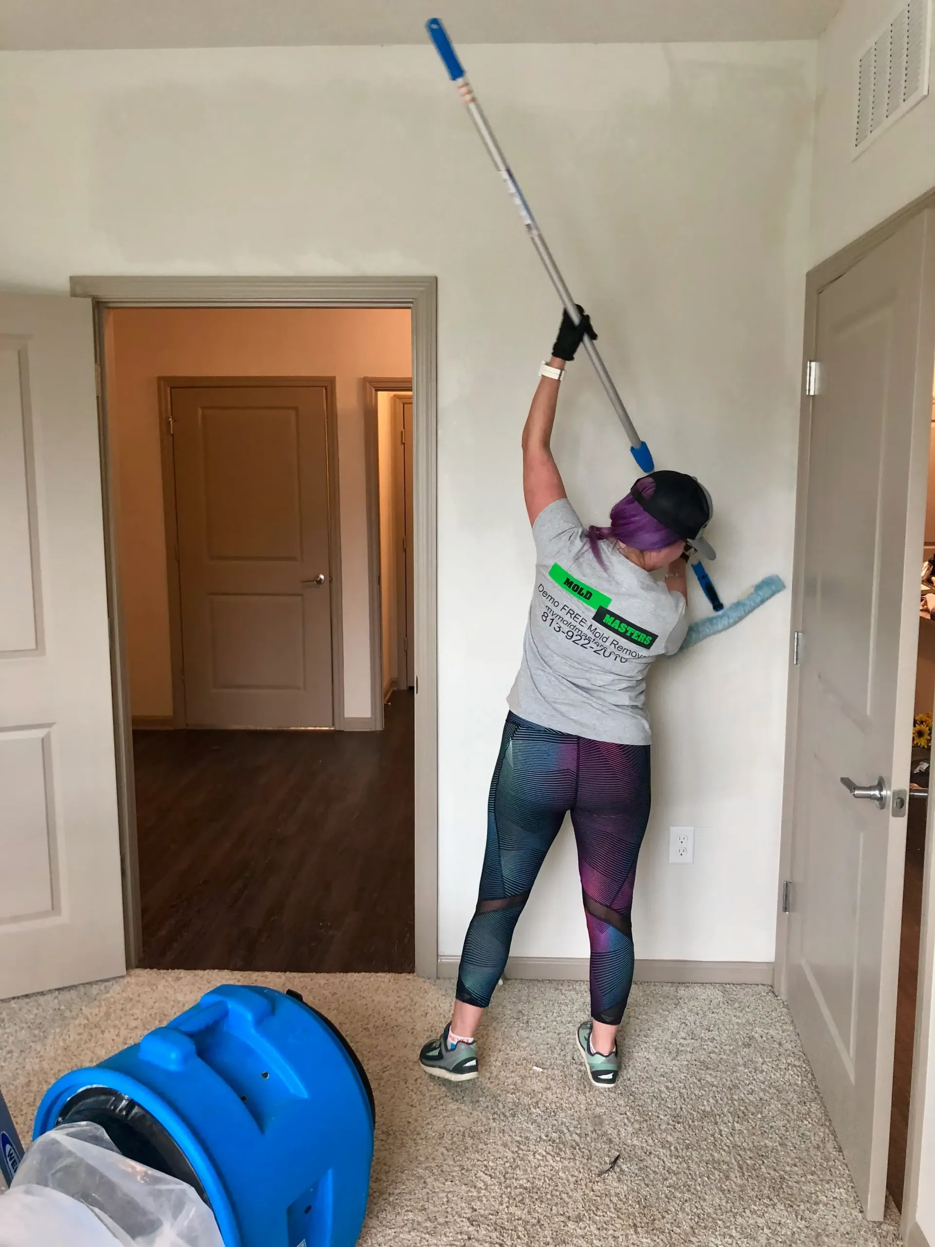 Scrubbing mold off of walls