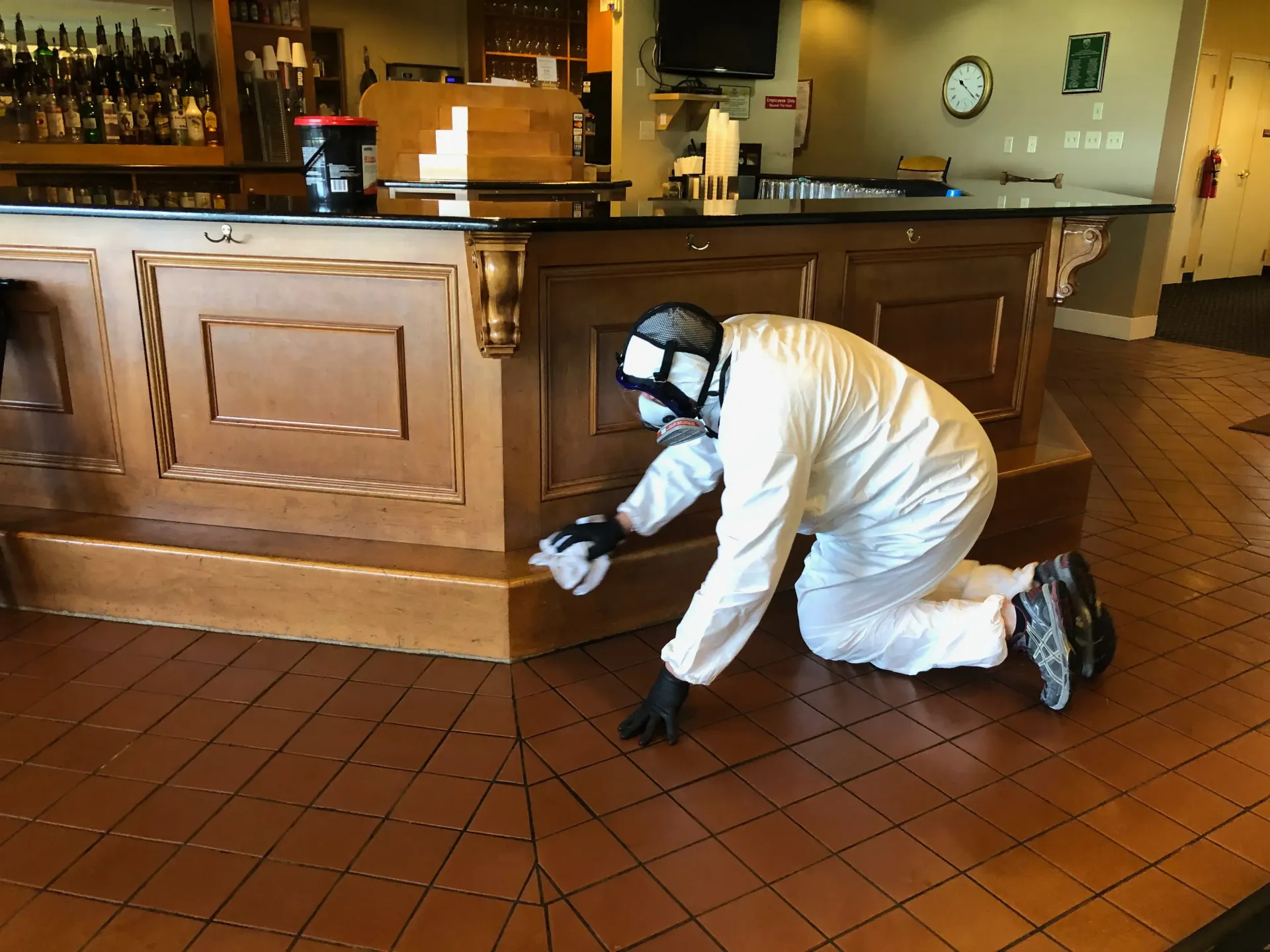 Sanitizing bar for mold, bacteria, and viruses