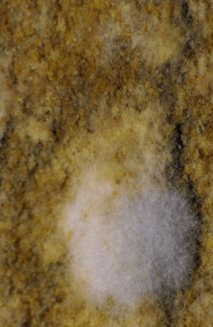 a close up of a marble counter top with a white spot on it .