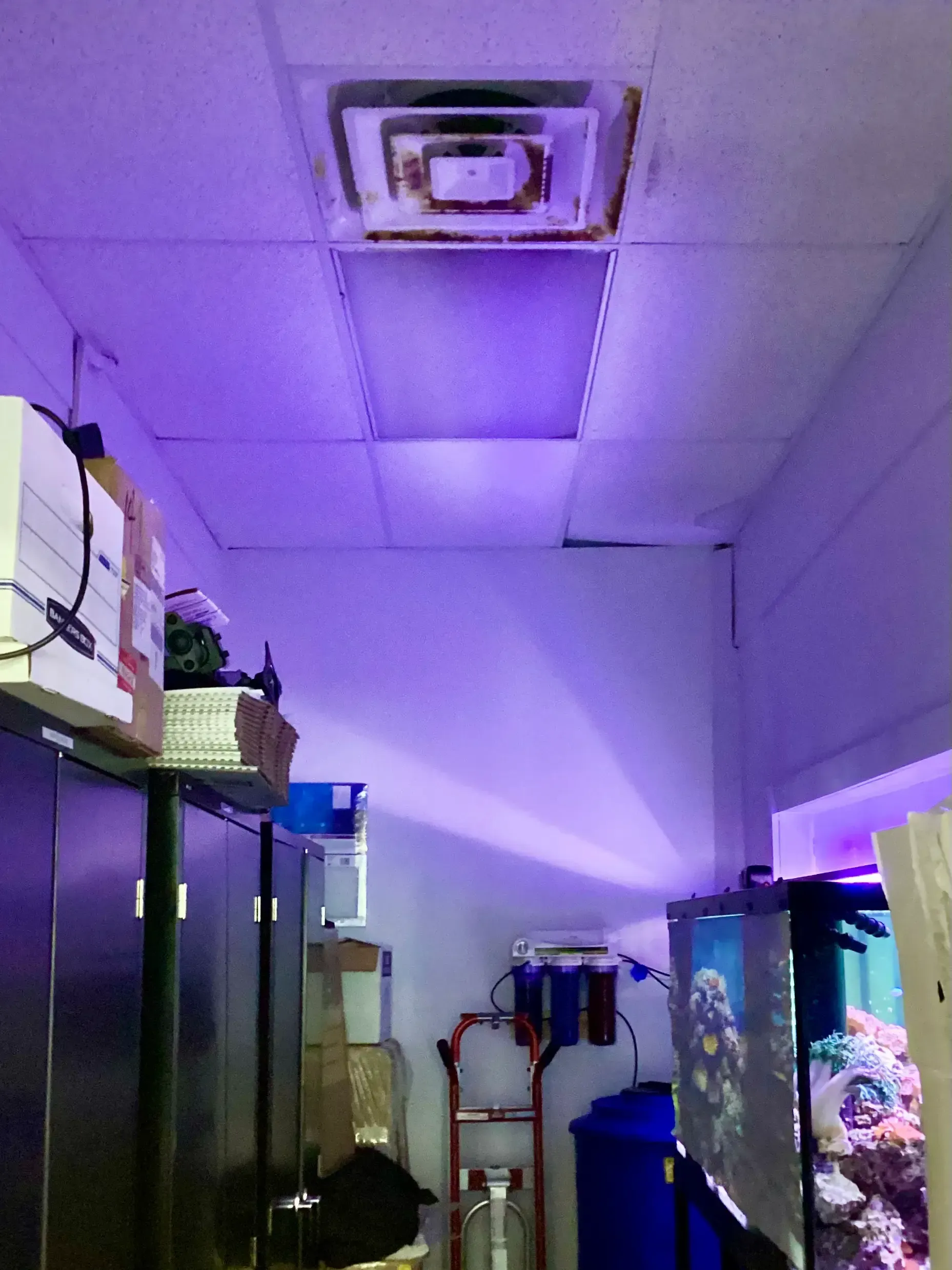 Mold growth in retail storage room on vent