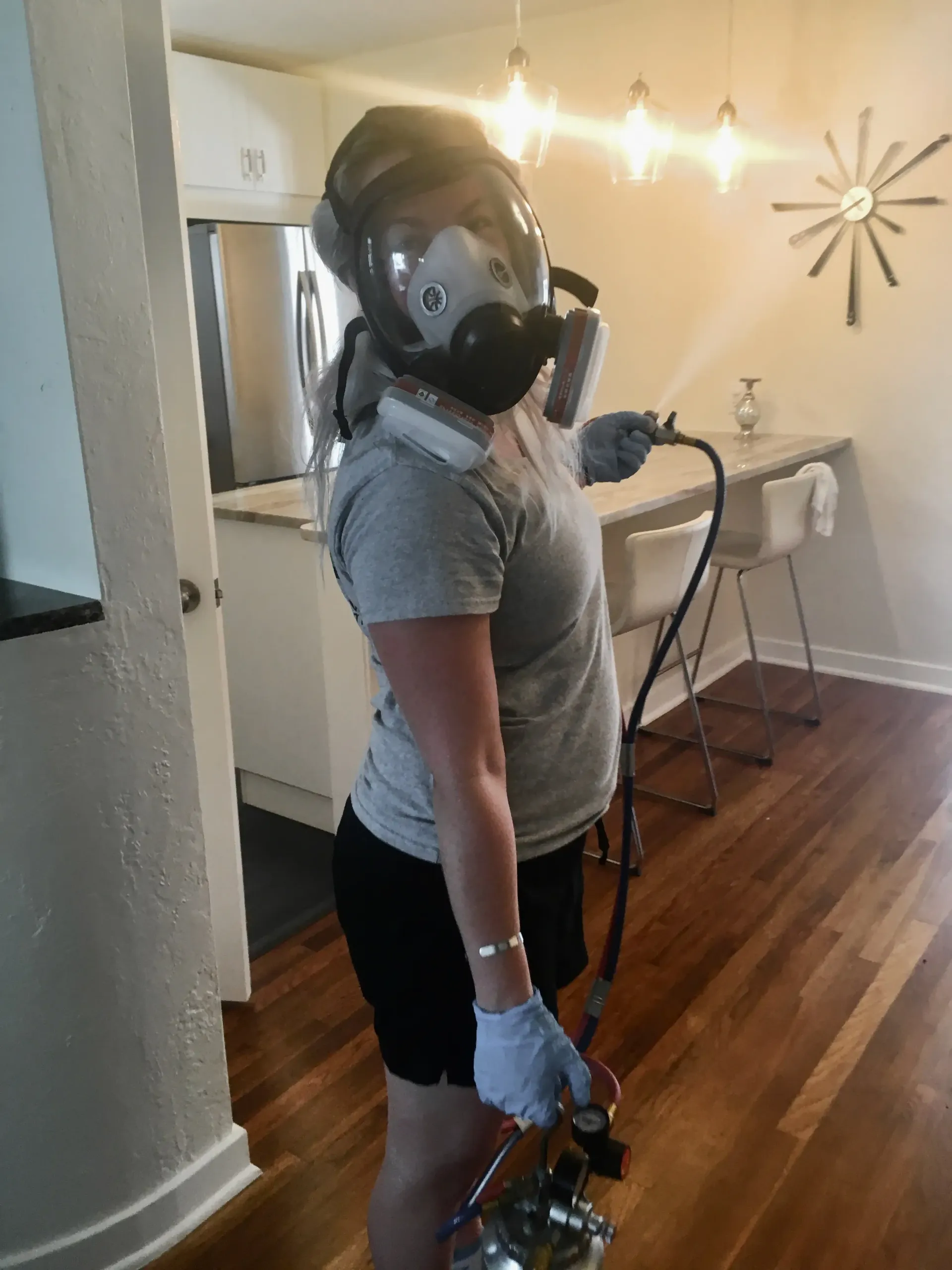 dry fogging in a home for mold