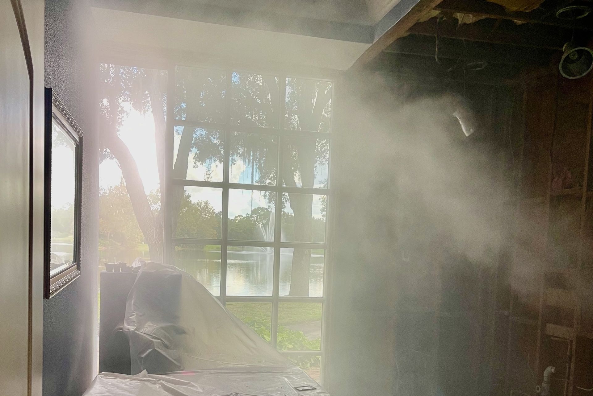 Fogging for mold in office