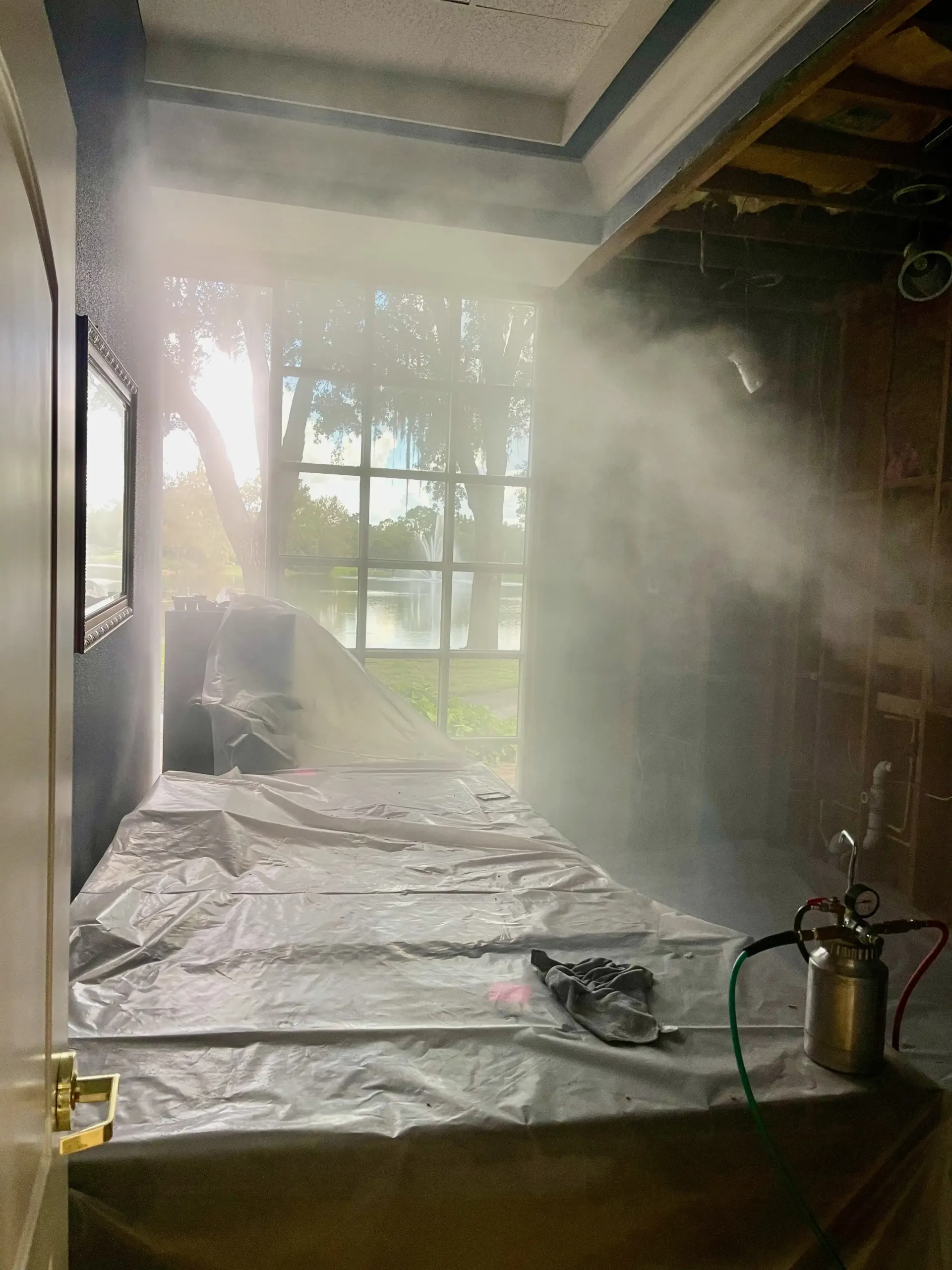 Dry fogging office conference room for mold, bacteria, and viruses