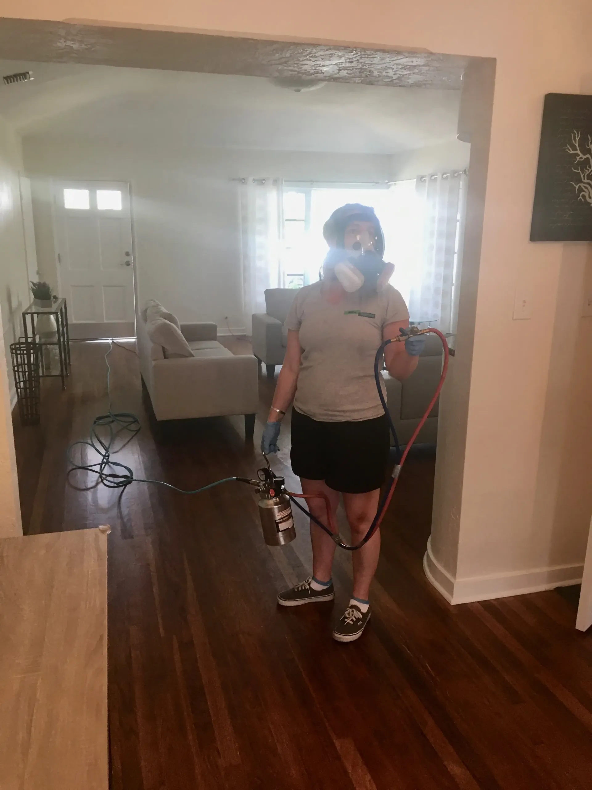 Dry fogging vacation rental for mold, bacteria, and viruses