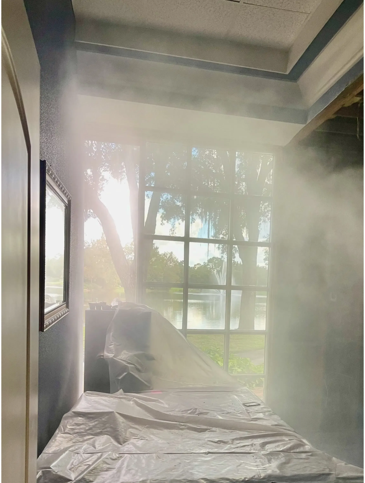 Dry fogging for mold in a home near me