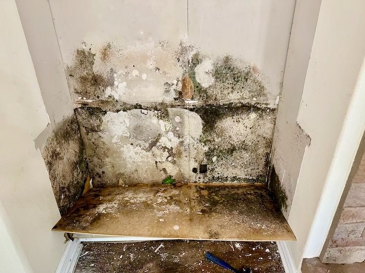 An image of mold in a bathroom behind a cabinet. Is green mold a health risk?
