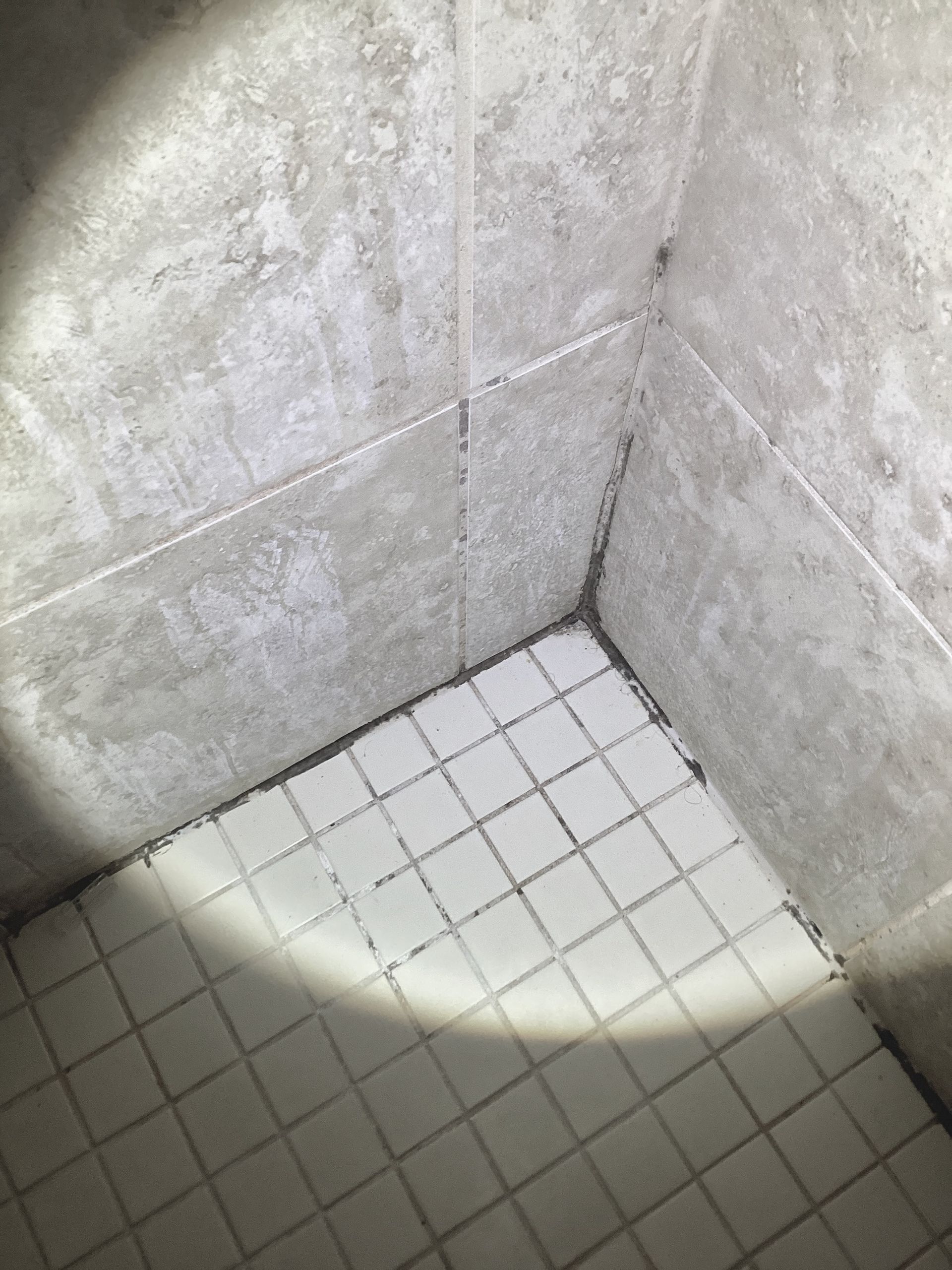 damp musty bathroom mold bathtub shower bad grout