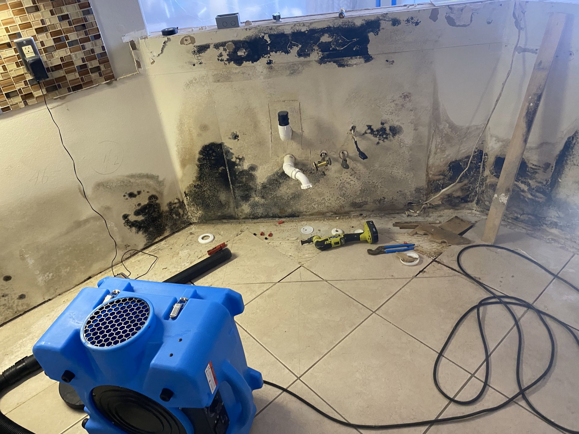 a blue vacuum cleaner sits on a tiled floor in front of a moldy wall
