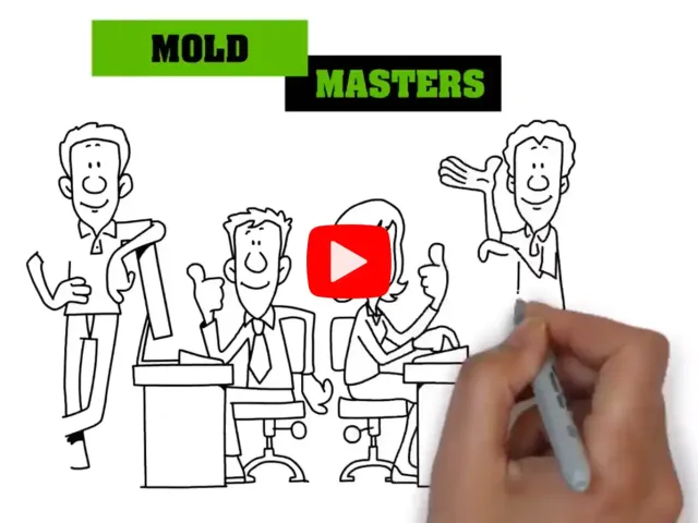 Mold abatement near me