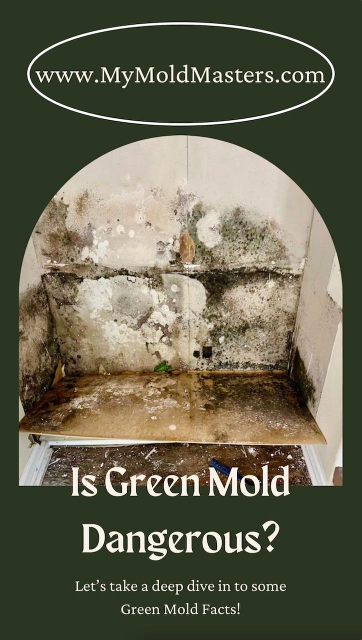 Green mold on walls