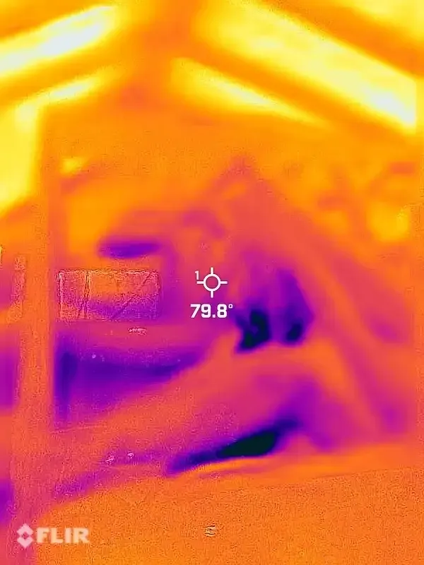 Mold growth in attic