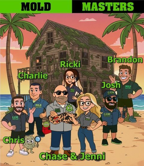 Mold Masters Team Near Me that will bomb mold