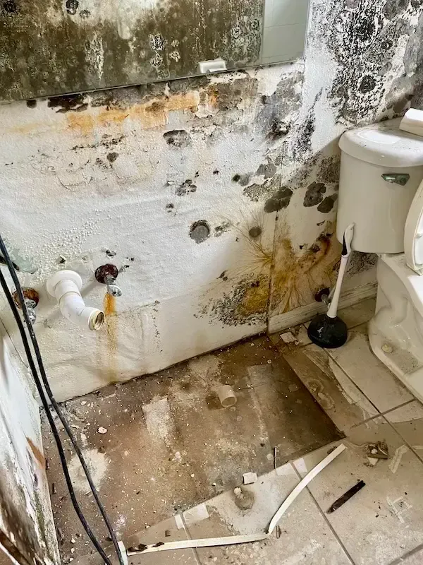 Mold behind bathroom vanity