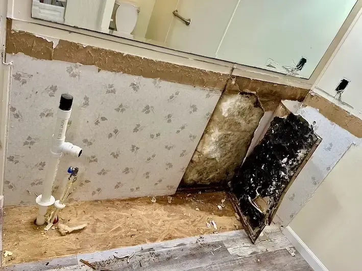 mold behind bathroom vanity