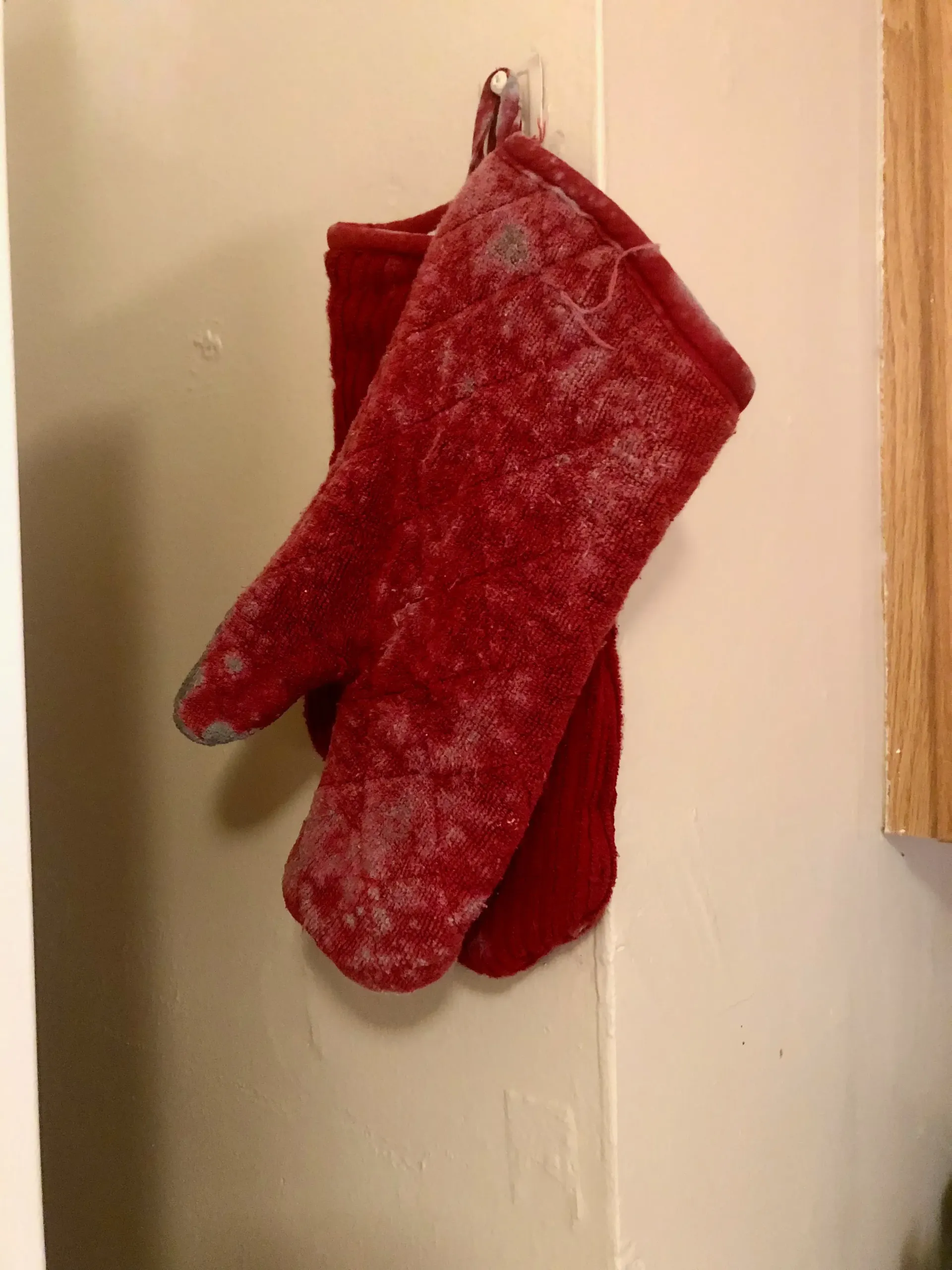 mold growing on oven mits