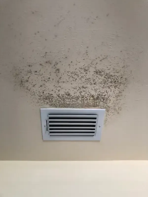 mold on ceiling for ducting