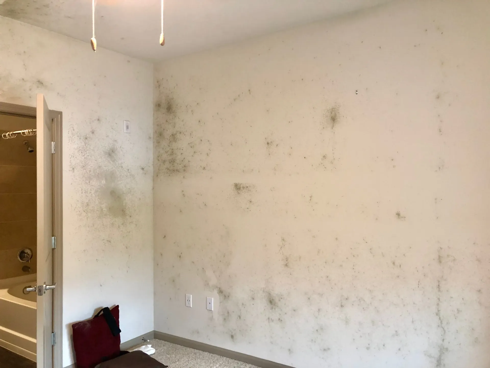 A bedroom with a dirty wall and a bed.