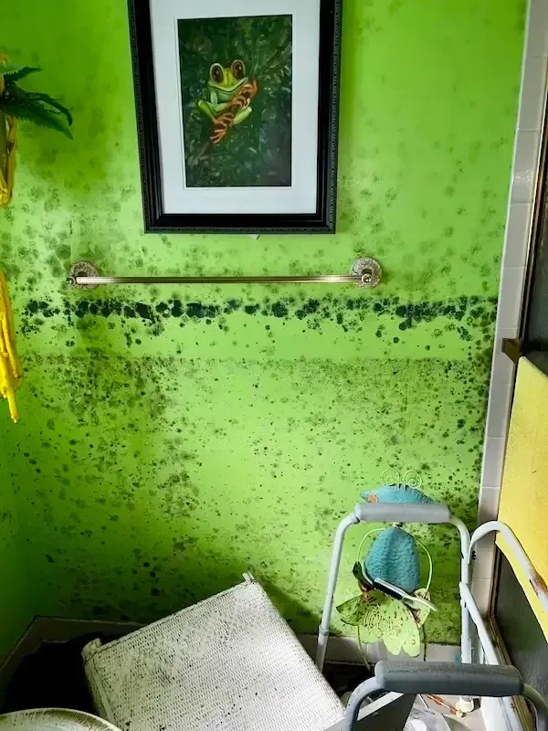 water damage that caused mold in bathroom