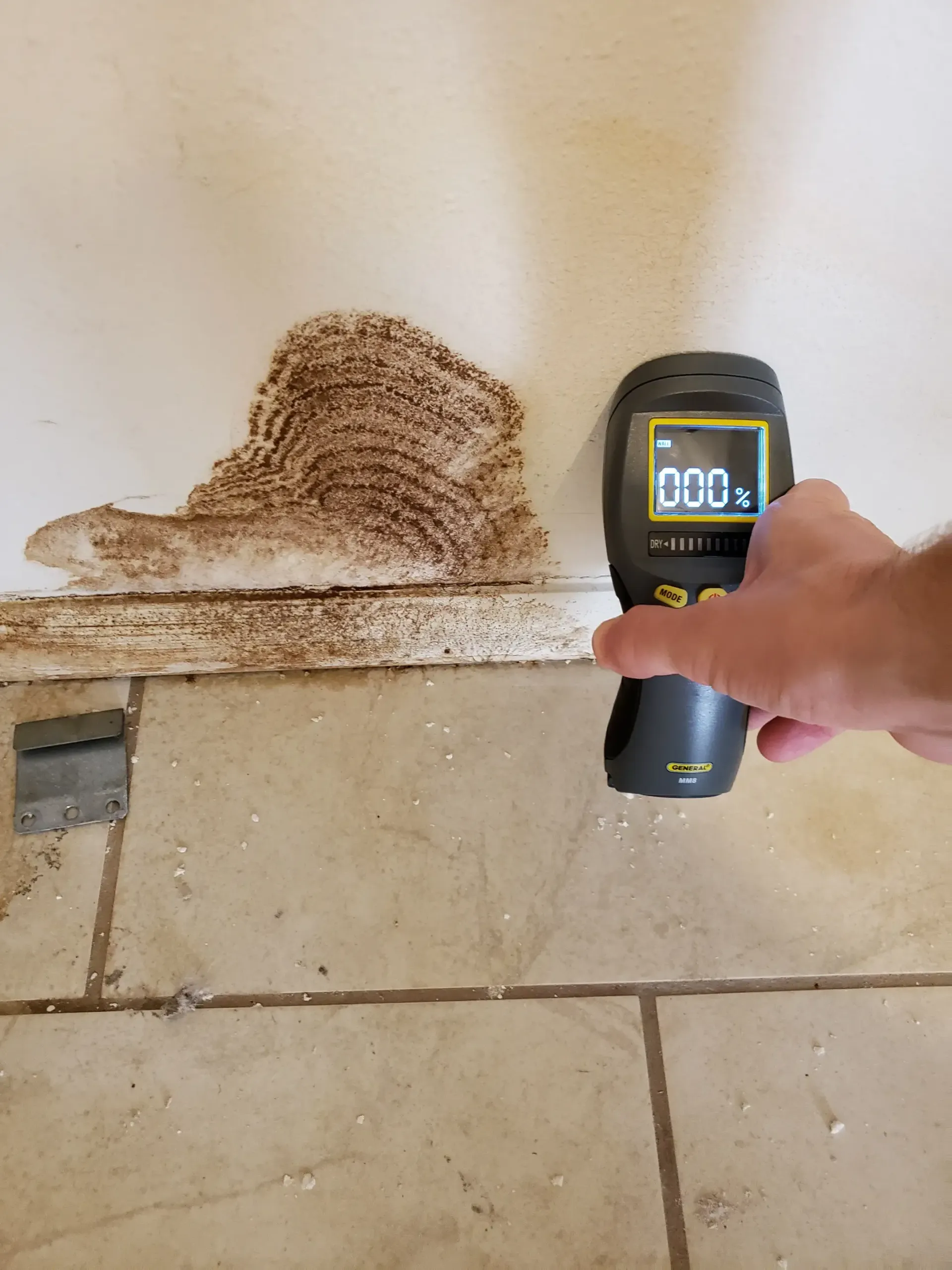 A person uses a moisture meter on a wall with a termite nest. Beige tile flooring.