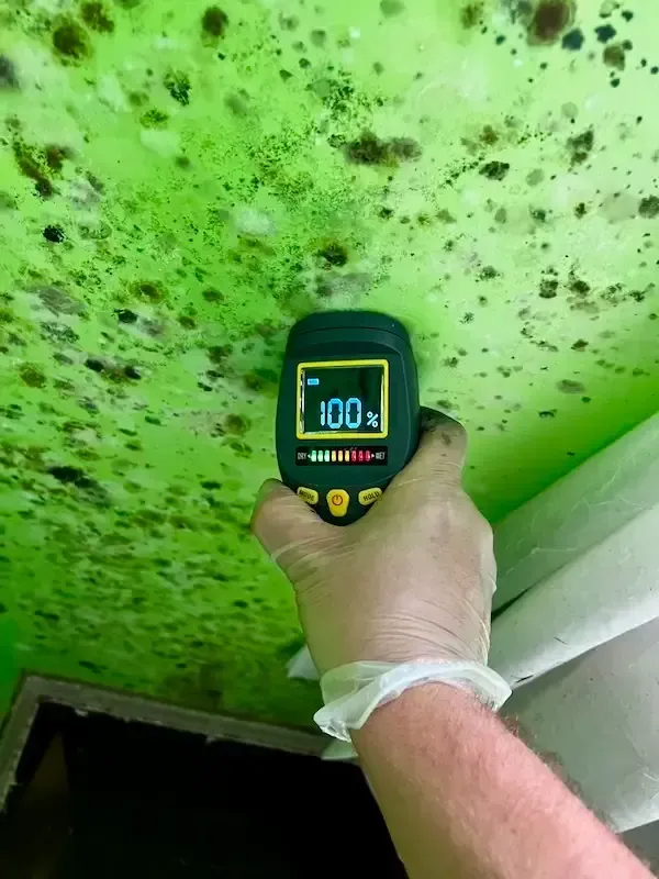 Mold caused by storm surge and flooding in a home