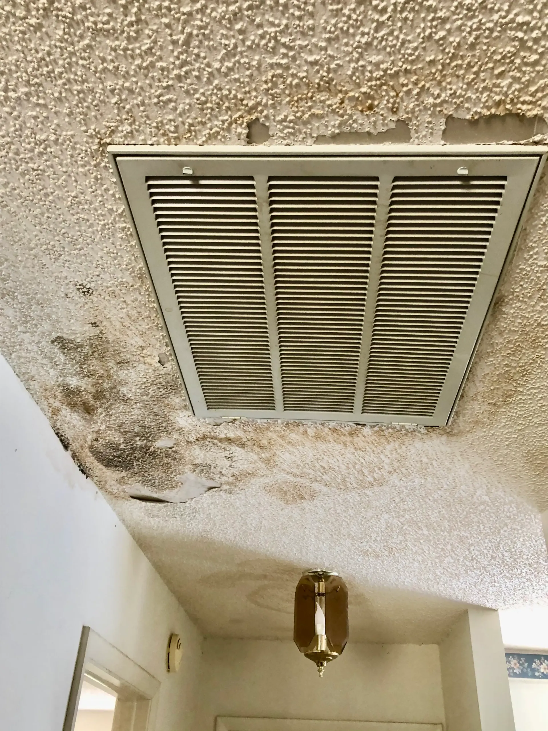 mold from roof damage