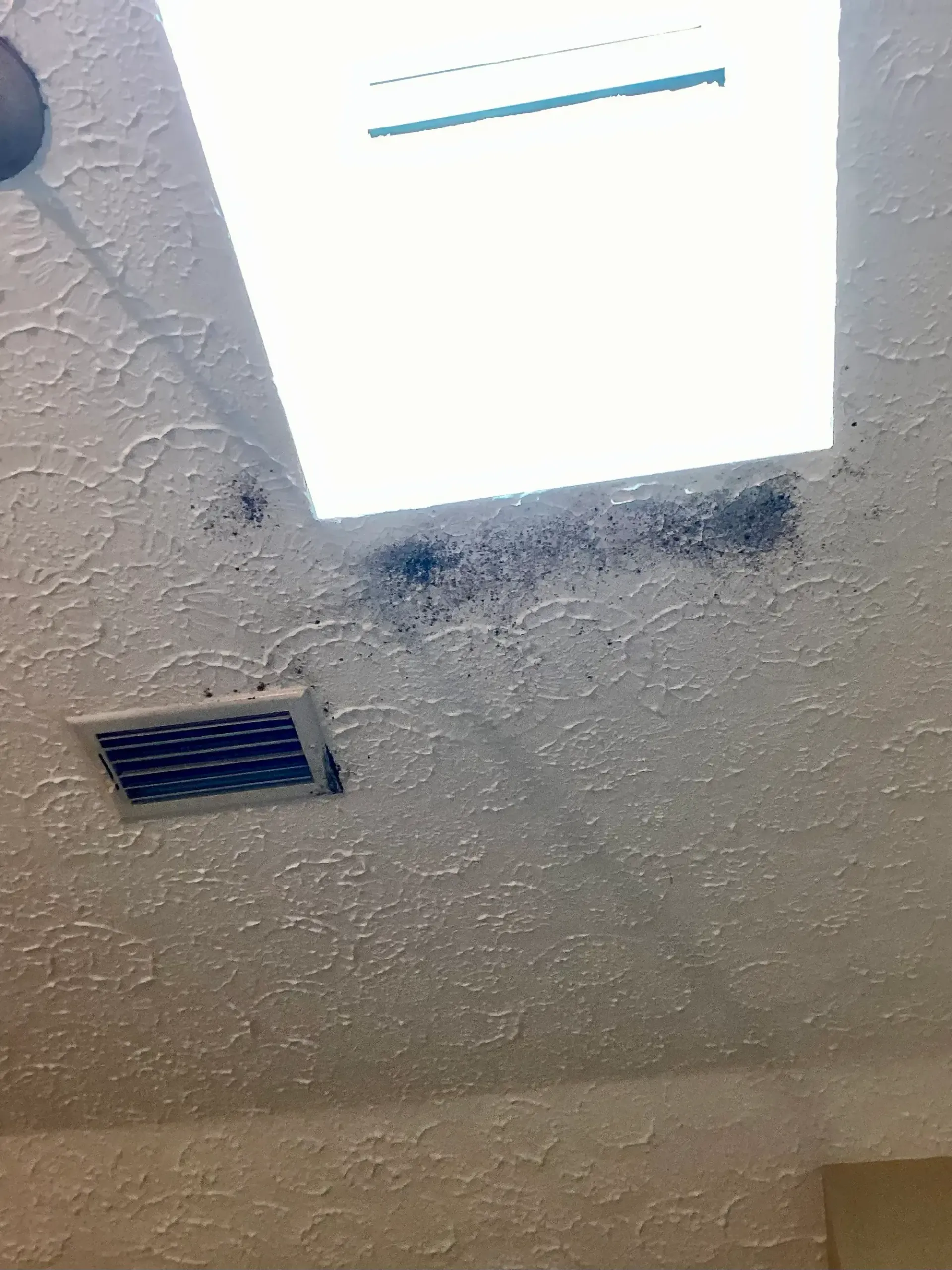 mold around skylight