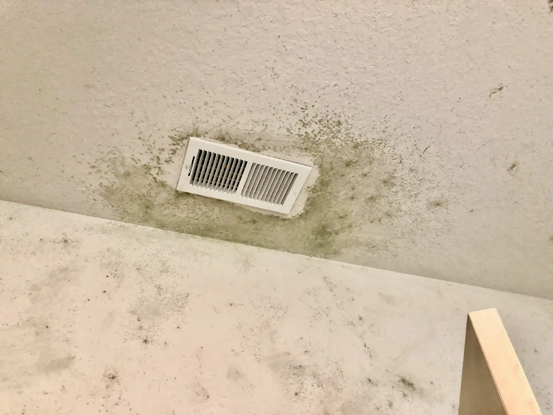 mold on ceiling from HVAC