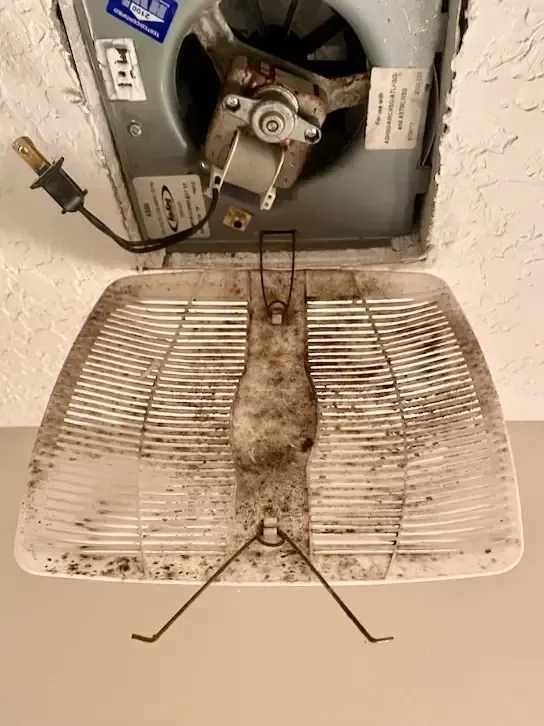 mold on bathroom exhaust fan