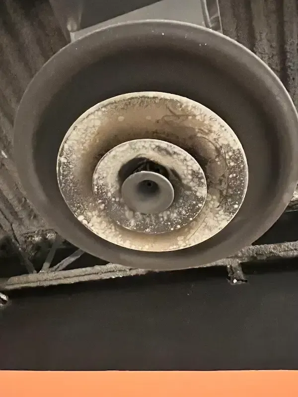 commercial hvac mold
