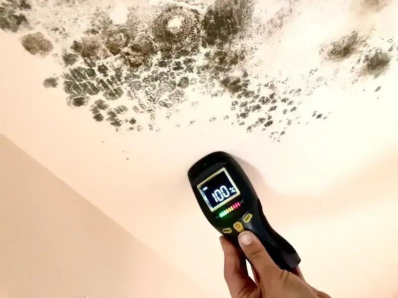Mold on ceiling