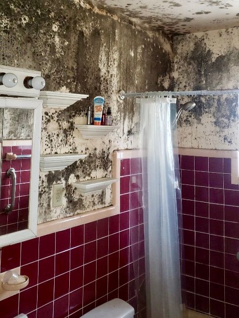 A bathroom with a toilet and a shower curtain