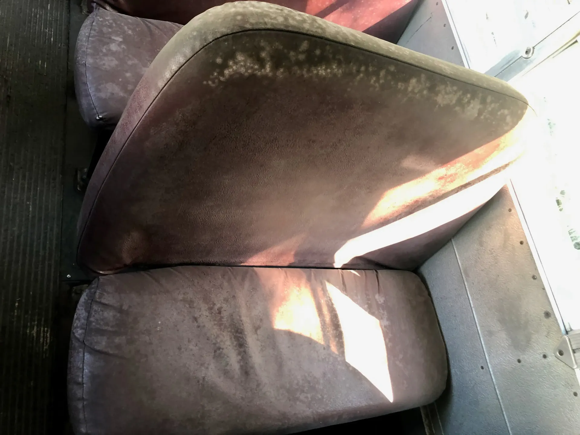 mold on bus seat