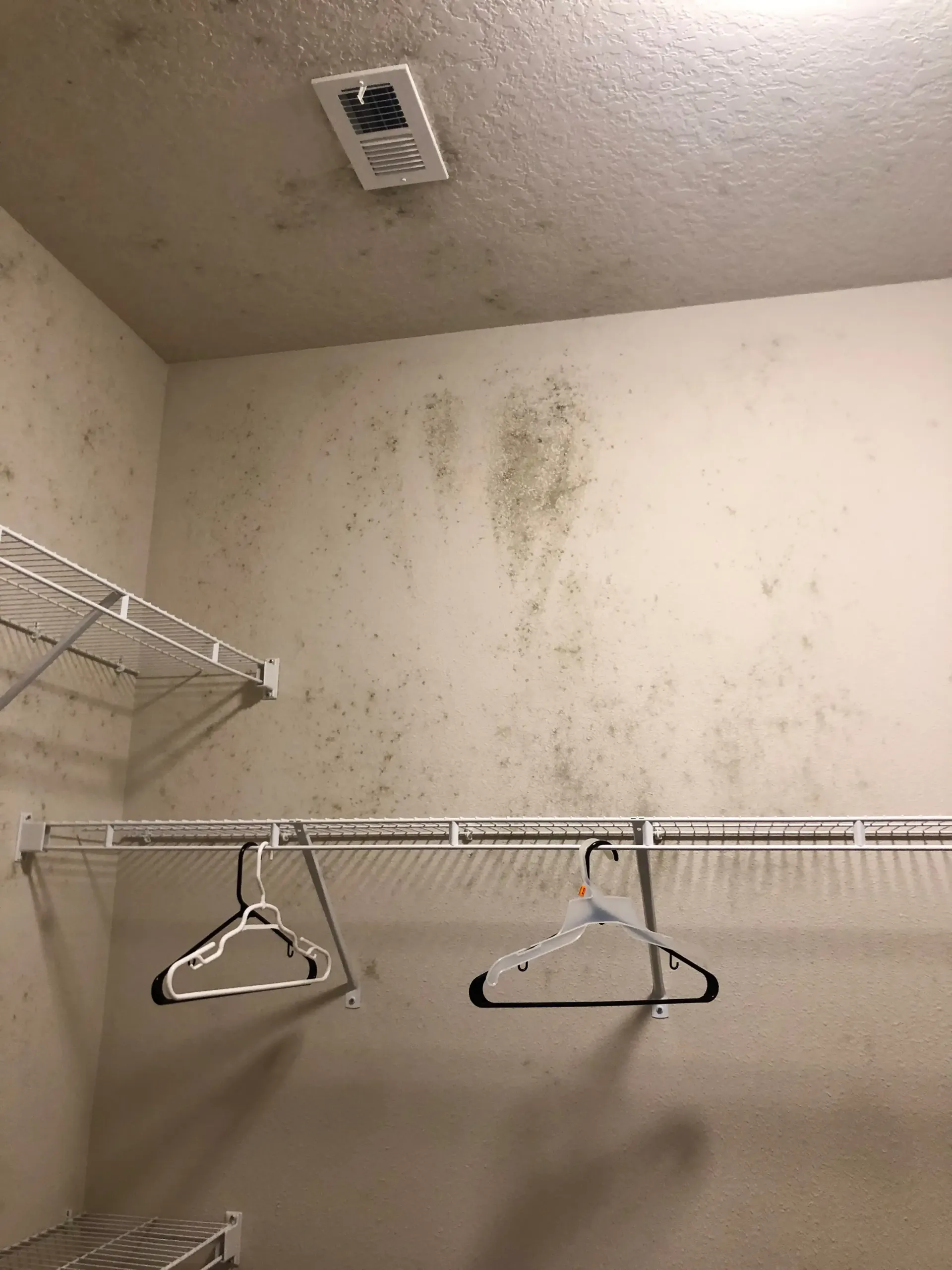 mold in closet