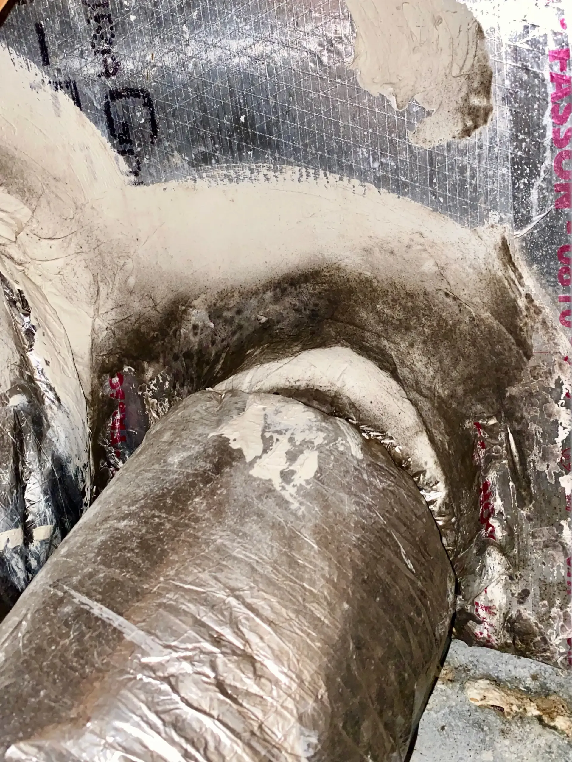Mold in ducting