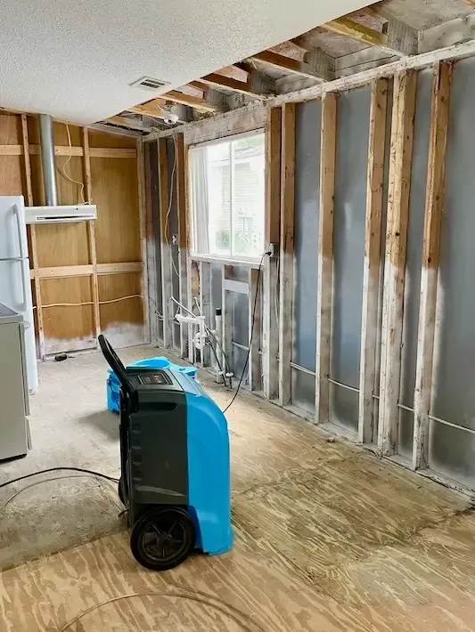Remediated kitchen that had black mold