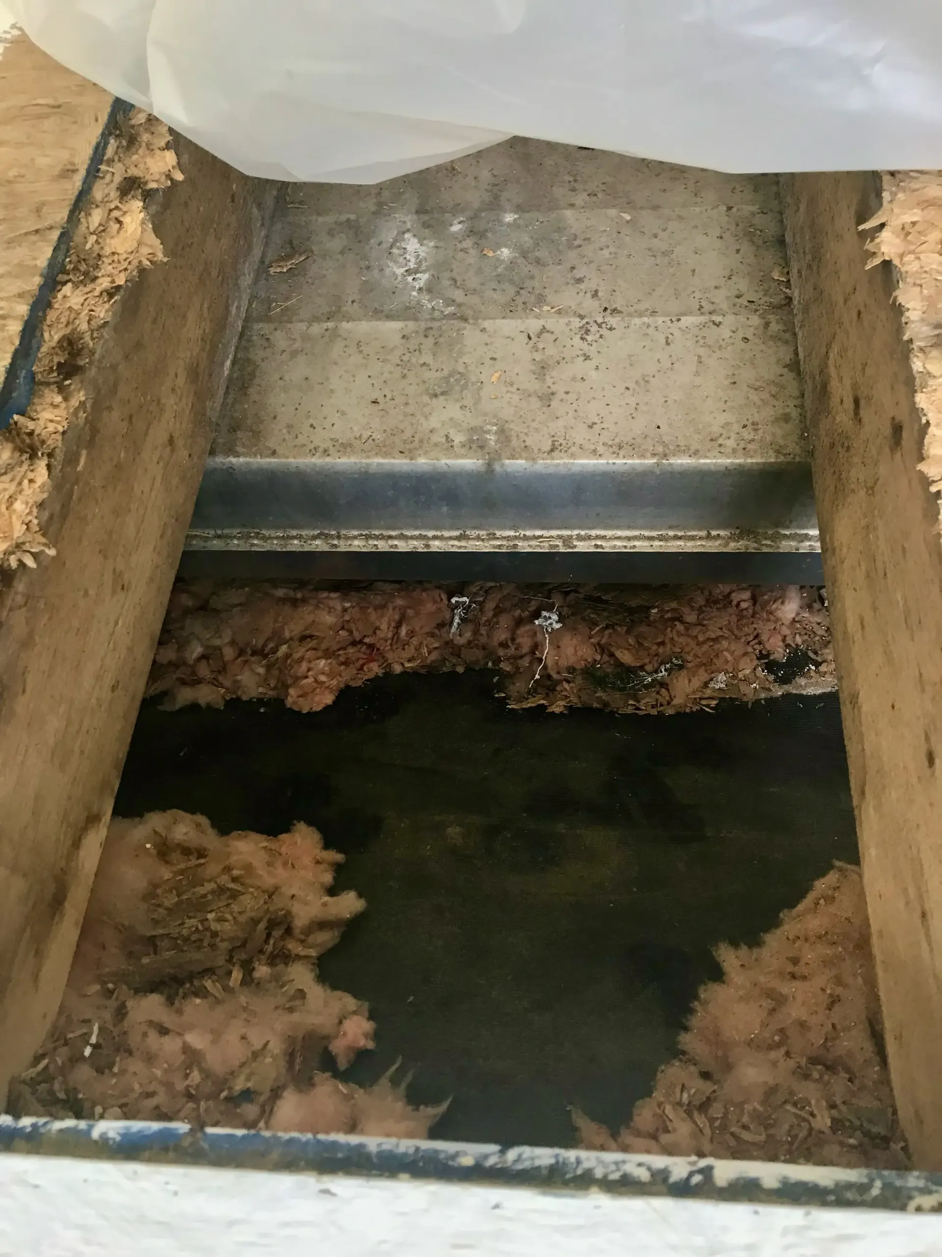 Mold from bad vapor barrier in mobile home